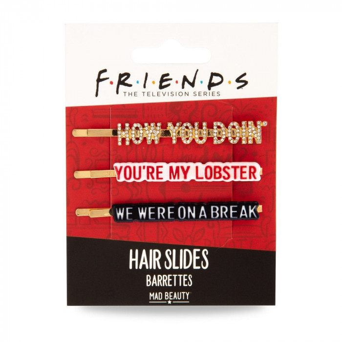 WARNER FRIENDS HAIR SLIDES