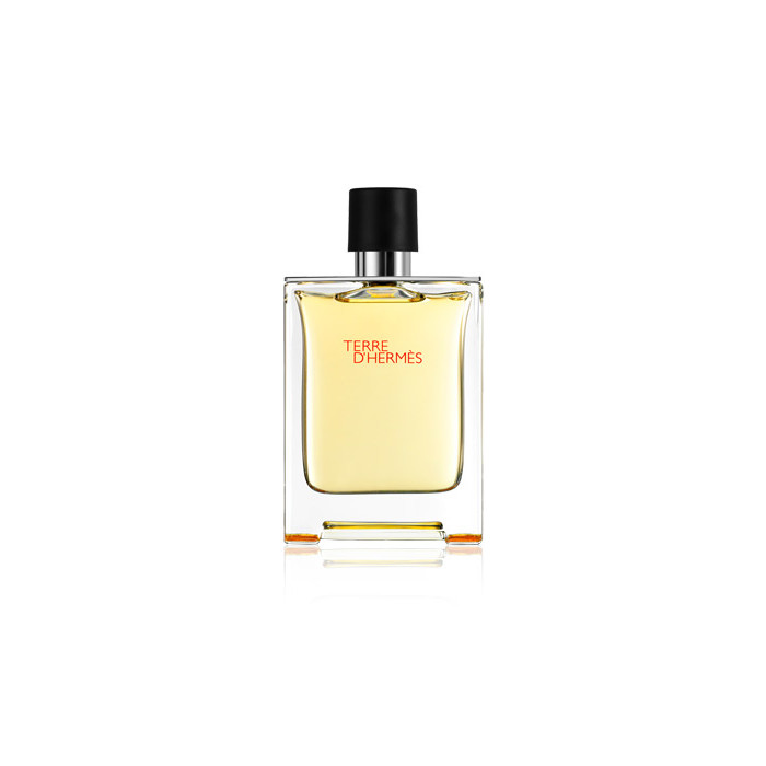 HERMES PARIS TERRE DHERMES EAU DE TOILETTE 100ML VAPORIZADOR