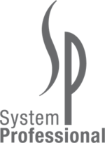 System Professional