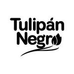 Tulipán Negro